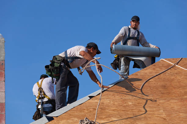 Best Roof Restoration Services  in Tanglewilde, WA