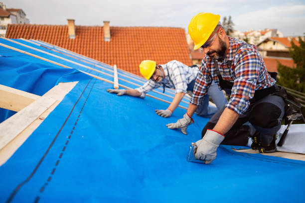 Best Local Roofing Companies  in Tanglewilde, WA