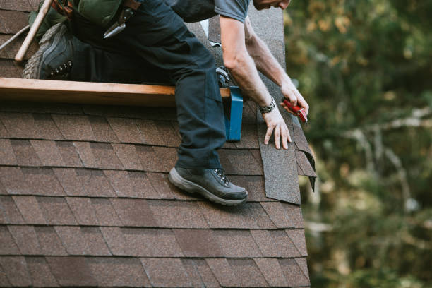 Best Metal Roofing Contractor  in Tanglewilde, WA