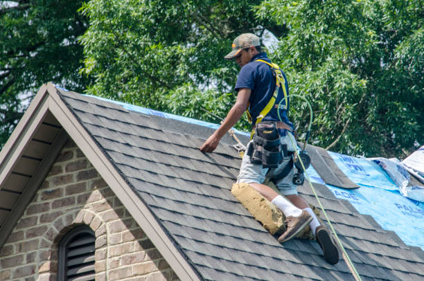 Roof Waterproofing Services in Tanglewilde, WA